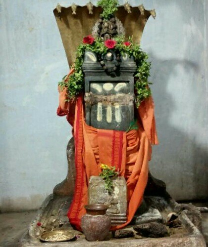 21558621_1319661848163194_8852708902019603693_n